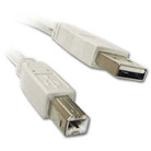 USB Printer Cable 6ft (A to B).